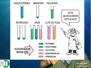 Prof. Paulo Ratki
Apresentações
 