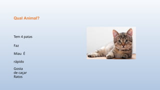Tem 4 patas
Faz
Miau É
rápido
Gosta
de caçar
Ratos
Qual Animal?
 
