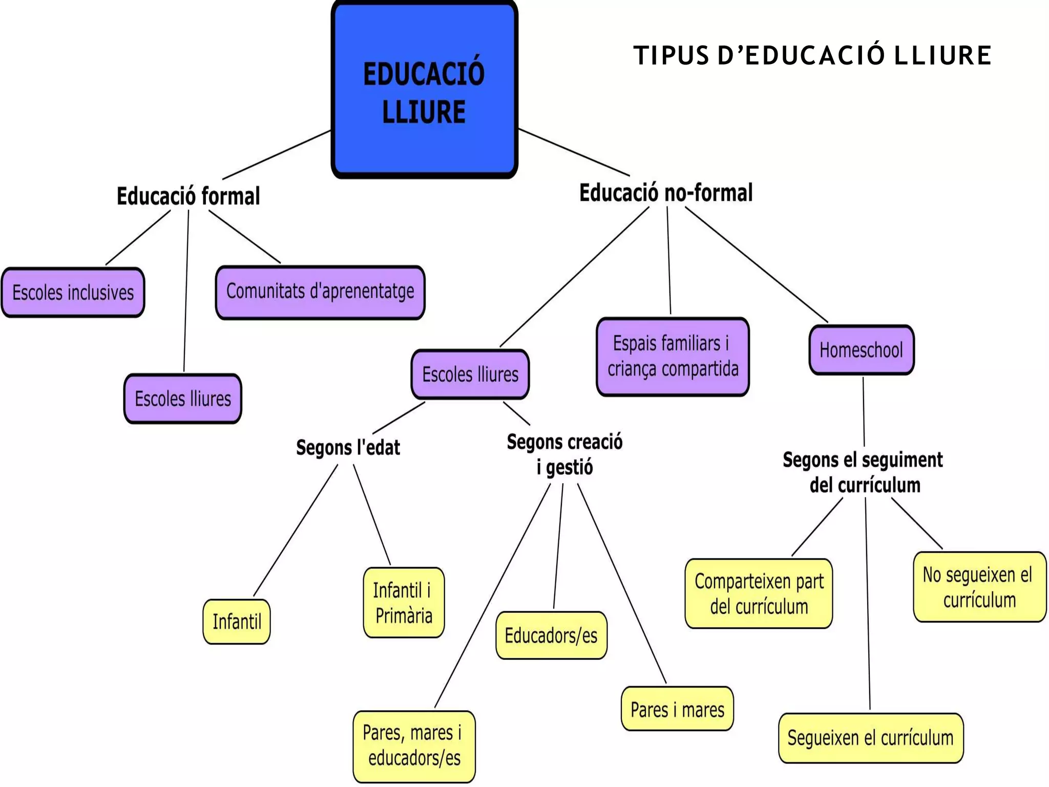 TI PUS D’EDUC AC I Ó L L I UR E
 