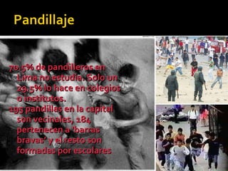 70.5% de pandilleros en Lima no estudia. Solo un 29.5% lo hace en colegios o institutos. 195 pandillas en la capital son vecinales, 184 pertenecen a 'barras bravas’ y el resto son formadas por escolares . 