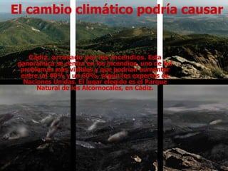 El cambio climático podría causar Cádiz, arrasado por los incendios.  Esta panorámica se centra en los incendios, uno de los problemas más visibles y que podrían aumentar entre un 40% y un 60%, según los expertos de Naciones Unidas. El lugar elegido es el Parque Natural de los Alcornocales, en Cádiz. 