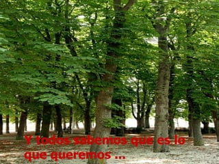 Y todos sabemos que es lo que queremos ... 