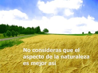 No consideras que el aspecto de la naturaleza es mejor así 