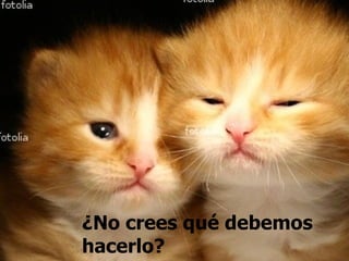 ¿No crees qué debemos hacerlo? 