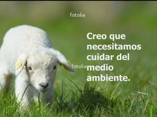 Creo que  necesitamos cuidar del medio ambiente.   