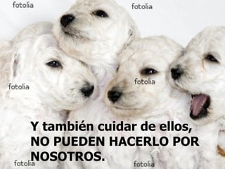Y también cuidar de ellos, NO PUEDEN HACERLO POR NOSOTROS.   