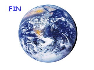 FIN 