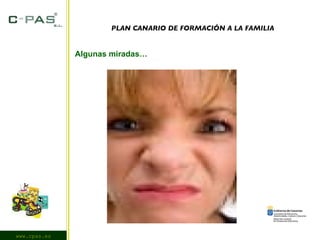 www.cpas.es Algunas miradas… PLAN CANARIO DE FORMACIÓN A LA FAMILIA 