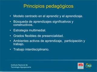 Principios pedagógicos Modelo centrado en el aprendiz y el aprendizaje. Búsqueda de aprendizajes significativos y constructivos. Estrategia multimedial. Grados flexibles de presencialidad. Ambientes activos de aprendizaje,  participación y trabajo. Trabajo interdisciplinario. 