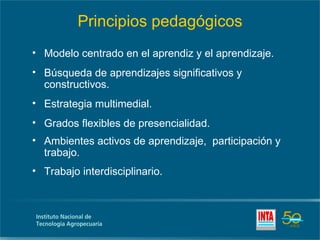 Principios pedagógicos
• Modelo centrado en el aprendiz y el aprendizaje.
• Búsqueda de aprendizajes significativos y
  constructivos.
• Estrategia multimedial.
• Grados flexibles de presencialidad.
• Ambientes activos de aprendizaje, participación y
  trabajo.
• Trabajo interdisciplinario.
 