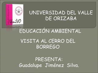 UNIVERSIDAD DEL VALLE DE ORIZABA EDUCACIÓN AMBIENTAL VISITA AL CERRO DEL BORREGO PRESENTA: Guadalupe  Jiménez  Silva. 