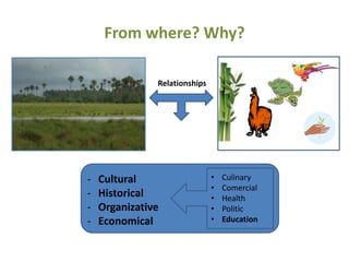 From where? Why?

               Relationships




-   Cultural                   •   Culinary
                               •   Comercial
-   Historical                 •   Health
-   Organizative               •   Politic
-   Economical                 •   Education
 