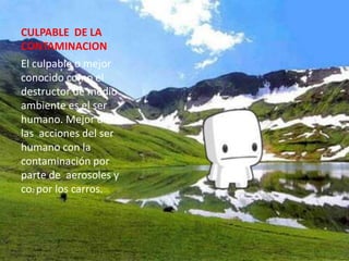 CULPABLE DE LA
CONTAMINACION
El culpable o mejor
conocido como el
destructor de medio
ambiente es el ser
humano. Mejor dicho
las acciones del ser
humano con la
contaminación por
parte de aerosoles y
co2 por los carros.
 