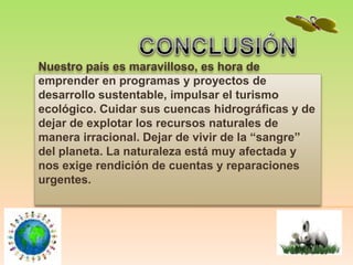 Nuestro país es maravilloso, es hora de
emprender en programas y proyectos de
desarrollo sustentable, impulsar el turismo
ecológico. Cuidar sus cuencas hidrográficas y de
dejar de explotar los recursos naturales de
manera irracional. Dejar de vivir de la “sangre”
del planeta. La naturaleza está muy afectada y
nos exige rendición de cuentas y reparaciones
urgentes.
 