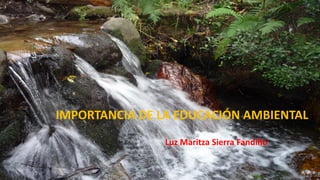 IMPORTANCIA DE LA EDUCACIÓN AMBIENTAL
Luz Maritza Sierra Fandiño

 
