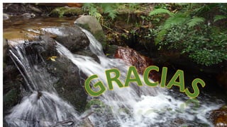 Educación ambiental