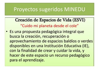 Proyectos sugeridos MINEDU
Creación de Espacios de Vida (ESVI)
“Cuido mi planeta desde el cole”
• Es una propuesta pedagógica integral que
busca la creación, recuperación o
aprovechamiento de espacios baldíos o verdes
disponibles en una Institución Educativa (IE),
con la finalidad de crear y cuidar la vida, y
hacer de este espacio un recurso pedagógico
para el aprendizaje.
 