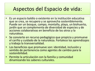Aspectos del Espacio de vida:
• Es un espacio baldío o existente en la institución educativa
que se crea, se recupera y se aprovecha sosteniblemente.
Puede ser un bosque, campo, montaña, playa, un biohuerto,
jardín que se complementa de diversidad de especies y de
acciones colaborativas en beneficio de los otros y la
naturaleza.
• Se convierte en recurso pedagógico que propicia y promueve
el cariño y cuidado de la naturaleza. Fortalece los aprendizajes
y trabaja la transversalidad.
• Los beneficios que promueve son: identidad, inclusión y
sentido de pertenencia como agentes de cambio para la
sostenibilidad.
• Permite la articulación con la familia y comunidad
dinamizando los saberes culturales.
 