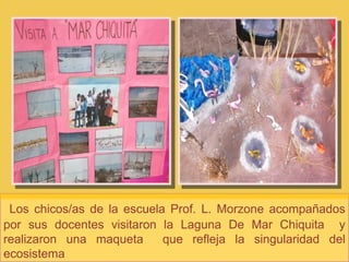 Los chicos/as de la escuela Prof. L. Morzone acompañados
por sus docentes visitaron la Laguna De Mar Chiquita y
realizaron una maqueta que refleja la singularidad del
ecosistema
 
