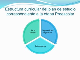Estructura curricular del plan de estudio 
correspondiente a la etapa Preescolar 
Cognoscitiva 
lingüística 
Socio 
afectiva 
Psicomotora 
 