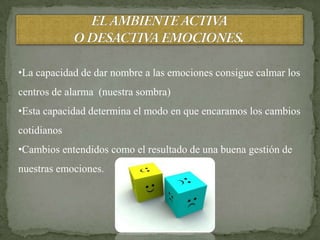 .


•La capacidad de dar nombre a las emociones consigue calmar los
centros de alarma (nuestra sombra)
•Esta capacidad determina el modo en que encaramos los cambios
cotidianos
•Cambios entendidos como el resultado de una buena gestión de
nuestras emociones.
 