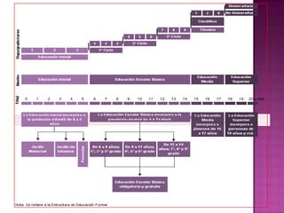 Estructura del Sistema Educativo Nacional - Gráfico
 
