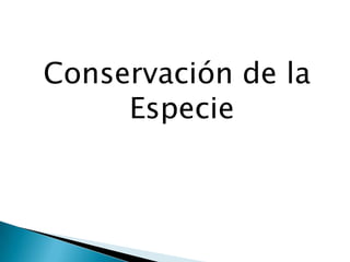 Conservación de la
Especie
 