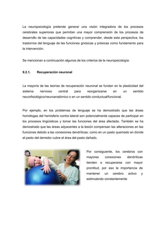 La neuropsicología pretende generar una visión integradora de los procesos
cerebrales superiores que permitan una mayor comprensión de los procesos de
desarrollo de las capacidades cognitivas y comprender, desde esta perspectiva, los
trastornos del lenguaje de las funciones gnósicas y práxicas como fundamento para
la intervención.
Se mencionan a continuación algunos de los criterios de la neuropsicología:
9.2.1. Recuperación neuronal
La mayoría de las teorías de recuperación neuronal se fundan en la plasticidad del
sistema nervioso central para reorganizarse en un sentido
neurofisiológico/neuroanatómico o en un sentido conductual/funcional.
Por ejemplo, en los problemas de lenguaje se ha demostrado que las áreas
homólogas del hemisferio contra lateral son potencialmente capaces de participar en
los procesos lingüísticos y tomar las funciones del área afectada. También se ha
demostrado que las áreas adyacentes a la lesión compensan las alteraciones en las
funciones debido a las conexiones dendríticas; como en un pasto quemado en donde
el pasto del derredor cubre el área del pasto dañado.
Por consiguiente, los cerebros con
mayores conexiones dendríticas
tienden a recuperarse con mayor
prontitud, por eso la importancia de
mantener un cerebro activo y
estimulando constantemente
 