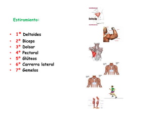 Estiramiento:
• 1º Deltoides
• 2º Biceps
• 3º Dolsar
• 4º Pectoral
• 5º Glúteos
• 6º Carrerra lateral
• 7º Gemelos
 