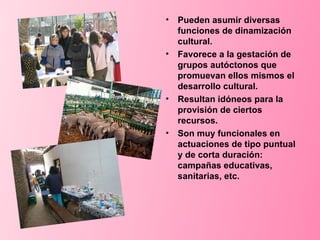 Pueden asumir diversas funciones de dinamización cultural. Favorece a la gestación de grupos autóctonos que promuevan ellos mismos el desarrollo cultural. Resultan idóneos para la provisión de ciertos recursos. Son muy funcionales en actuaciones de tipo puntual y de corta duración: campañas educativas, sanitarias, etc. 