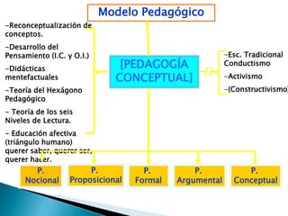 [PEDAGOGÍA
CONCEPTUAL]
Modelo Pedagógico
-Esc. Tradicional
Conductismo
-Activismo
-(Constructivismo)
-Reconceptualización de
conceptos.
-Desarrollo del
Pensamiento (I.C. y O.I.)
-Didácticas
mentefactuales
-Teoría del Hexágono
Pedagógico
- Teoría de los seis
Niveles de Lectura.
- Educación afectiva
(triángulo humano)
querer saber, querer ser,
querer hacer.
P.
Nocional
P.
Argumental
P.
Proposicional
P.
Formal
P.
Conceptual
 