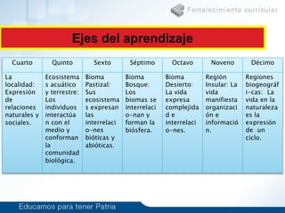 Cuarto Quinto Sexto Séptimo Octavo Noveno Décimo
La
localidad:
Expresión
de
relaciones
naturales y
sociales.
Ecosistema
s acuático
y terrestre:
Los
individuos
interactúa
n con el
medio y
conforman
la
comunidad
biológica.
Bioma
Pastizal:
Sus
ecosistema
s expresan
las
interrelaci
o-nes
bióticas y
abióticas.
Bioma
Bosque:
Los
biomas se
interrelaci
o-nan y
forman la
biósfera.
Bioma
Desierto:
La vida
expresa
complejida
d e
interrelaci
o-nes.
Región
Insular: La
vida
manifiesta
organizaci
ón e
informació
n.
Regiones
biogeográf
i-cas: La
vida en la
naturaleza
es la
expresión
de un
ciclo.
 