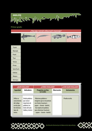 AWAJÚN



¿YAA JUJU NAMAK AIDAUNASH MAAWAJE?
Primer grado

                               ¿Yaa juju namak aidaunash maawaje?
    Namak


Uchi
aidau                tsuutsum                   pepen                      chuwiu                      katiish

 Tuyas                    X                                                                                X
 Waniak                                            X                           X                           X
 Paati                    X                        X                           X
 Tiwi                                              X                           X
 Yanas                    X                        X                           X                           X
 Pinas                                                                                                     X
 Sanchum                  X                                                                                X
 Kakias                                                                        X                           X
 Wepiu                    X                                                                                X
 Shimpu                   X                        X                                                       X


         ¿QUÉ EVALUAR?                          ¿CÓMO EVALUAR?                         ¿CON QUÉ EVALUAR?
   Capacidad       Indicadores           Preguntas escritas           Observación             Instrumentos
                                             y/o orales


  Utiliza su      Señala palabras     -Relaciona palabras e                              -Prueba escrita
  conocimiento    que conoce          imágenes que se encuentran
  del código      (repertorio de      en el texto (tsuutsum –
  escrito para    palabras) en        pepen – chuwiu - katiish).
  leer diversos   textos del aula     -Usa tarjetas de palabras
  tipos de        (tablas y textos)   para relacionar (tsuutsum
  textos.                             – pepen – chuwiu - katiish).




                                                         Movilización Nacional por la Mejora de los Aprendizajes   79
 