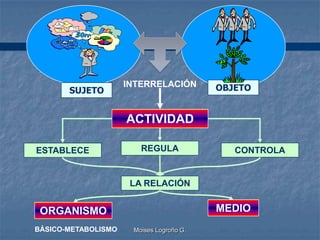 INTERRELACIÓN        OBJETO
       SUJETO


                     ACTIVIDAD

ESTABLECE               REGULA               CONTROLA


                      LA RELACIÓN


 ORGANISMO                                MEDIO
BÁSICO-METABOLISMO    Moises Logroño G.
 