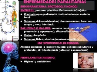ENFERMEDADES PARASITARIAS
ENDOPARASITARIAS : PROTOZOOS Y HONGOS
AMEBIASIS: protozoo primitivo. Entamoeba histolytica
• Contagio: agua y alimentos contaminados con materia
   fecal.
• Síntomas: dolores abdominal, diarreas acuosas, heces con
   sangre y moco intestinal.
PALUDISMO O MALARIA: causada por 4 tipos dif de
   plasmodios ( esporozoos ), Plasmodium vivax
• Vector: Anopheles.
• Síntomas: fiebre, vómitos, jaquecas, anemias,.
              ENF OPORTUNISTAS DE HONGOS:
Afectan pulmones la sangre y mucosas : Micosis subcutánea y
   profundas, ej Histoplasmosis ( afección a macrófagos)

PROFILAXIS/TRATAMIENTO:
• Higiene y antibióticos
 