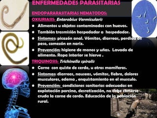 ENFERMEDADES PARASITARIAS
ENDOPARARASITARIAS NEMATODOS:
OXIURIASIS: Enterobius Vermicularis
• Alimentos u objetos contaminados con huevos.
• También trasmisión hospedador a hospedador.
• Síntomas: picazón anal. Vómitos, diarreas, perdida de
   peso, comezón en nariz.
• Prevención: higiene de manos y uñas. Lavado de
   alimento. Ropa interior se hierve .
TRIQUINOSIS: Trichinella spiralis
• Carne con quiste de cerdo, u otros mamíferos.
• Síntomas: diarreas, nauseas, vómitos, fiebre, dolores
   musculares, edema , enquistamiento en el musculo.
• Prevención: condiciones sanitarias adecuadas en
   explotación porcina, desratización, no debe comerse
   cruda la carne de cerdo. Educación de la población
   rural.
 