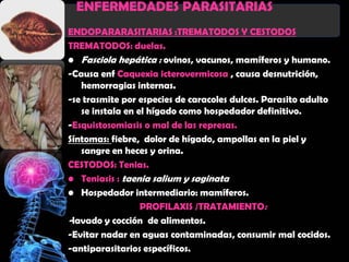 ENFERMEDADES PARASITARIAS
ENDOPARARASITARIAS :TREMATODOS Y CESTODOS
TREMATODOS: duelas.
• Fasciola hepática : ovinos, vacunos, mamíferos y humano.
-Causa enf Caquexia icterovermicosa , causa desnutrición,
   hemorragias internas.
-se trasmite por especies de caracoles dulces. Parasito adulto
   se instala en el hígado como hospedador definitivo.
-Esquistosomiasis o mal de las represas.
Síntomas: fiebre, dolor de hígado, ampollas en la piel y
   sangre en heces y orina.
CESTODOS: Tenias.
• Teniasis : taenia salium y saginata
• Hospedador intermediario: mamíferos.
                  PROFILAXIS /TRATAMIENTO:
-lavado y cocción de alimentos.
-Evitar nadar en aguas contaminadas, consumir mal cocidos.
-antiparasitarios específicos.
 