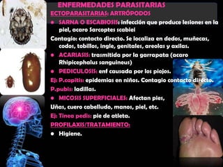 ENFERMEDADES PARASITARIAS
ECTOPARASITARIAS: ARTRÓPODOS
• SARNA O ESCABIOSIS: infección que produce lesiones en la
    piel, acaro Sarcoptes scabiei
Contagio: contacto directo. Se localiza en dedos, muñecas,
    codos, tobillos, ingle, genitales, areolas y axilas.
• ACARIASIS: trasmitida por la garrapata (acaro
    Rhipicephalus sanguineus)
• PEDICULOSIS: enf causada por los piojos.
Ej: P.capitis: epidemias en niños. Contagio contacto directo.
P.pubis: ladillas.
• MICOSIS SUPERFICIALES: Afectan pies,
Uñas, cuero cabelludo, manos, piel, etc.
Ej: Tinea pedis: pie de atleta.
PROFILAXIS/TRATAMIENTO:
• Higiene.
 