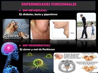 ENFERMEDADES FUNCIONALES
• ENF METABOLICAS.
EJ: diabetes, bocio y gigantismo




• ENF DEGENERATIVAS:
Ej cáncer y mal de Parkinson
 