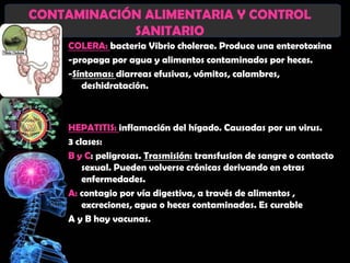 CONTAMINACIÓN ALIMENTARIA Y CONTROL
            SANITARIO
    COLERA: bacteria Vibrio cholerae. Produce una enterotoxina
    -propaga por agua y alimentos contaminados por heces.
    -Síntomas: diarreas efusivas, vómitos, calambres,
       deshidratación.



    HEPATITIS: inflamación del hígado. Causadas por un virus.
    3 clases:
    B y C: peligrosas. Trasmisión: transfusion de sangre o contacto
        sexual. Pueden volverse crónicas derivando en otras
        enfermedades.
    A: contagio por vía digestiva, a través de alimentos ,
        excreciones, agua o heces contaminadas. Es curable
    A y B hay vacunas.
 