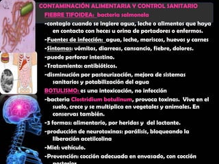 CONTAMINACIÓN ALIMENTARIA Y CONTROL SANITARIO
 FIEBRE TIFOIDEA: bacteria salmonela
 -contagio cuando se ingiere agua, leche o alimentos que haya
     en contacto con heces u orina de portadores o enfermos.
 -Fuentes de infección: agua, leche, mariscos, huevos y carnes
 -Síntomas: vómitos, diarreas, cansancio, fiebre, dolores.
 -puede perforar intestino.
 -Tratamiento: antibióticos.
 -disminución por pasteurización, mejora de sistemas
     sanitarios y potabilización del agua
 BOTULISMO: es una intoxicación, no infección
 -bacteria Clostridium botulinum, provoca toxinas. Vive en el
     suelo, crece y se multiplica en vegetales y animales. En
     conservas también.
 -3 formas: alimentario, por heridas y del lactante.
 -producción de neurotoxinas: parálisis, bloqueando la
     liberación acetilcolina
 -Miel: vehículo.
 -Prevención: cocción adecuada en envasado, con cocción
 