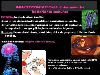 INFECTOCONTAGIOSAS: Enfermedades
                   bacterianas comunes
DIFTERIA: bacilo de Klebs-Loeffler.
-ingresa por vías respiratorias, aloja en garganta y amígdalas.
-inflamación de las mucosas faríngeas por secreción de exotoxina,
   transportada a sangre y linfa, lesionando otros órganos.
Síntomas: fiebre, decaimiento, escalofríos, dolor de garganta, inflamación de
   ganglios.

-llamada también angina diftérica común.




                                      Prevención: vacunación, vacuna cuádruple(DPT),
                                      dada en 4 dosis ( 2-4-6-18 meses de vida.
                                       6 años: un refuerzo.
                                      16- y c/ 10 años: La doble o DT (dift-tetan)
 