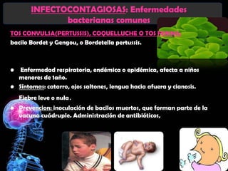 INFECTOCONTAGIOSAS: Enfermedades
               bacterianas comunes
TOS CONVULSA(PERTUSSIS), COQUELLUCHE O TOS FERINA:
bacilo Bordet y Gengou, o Bordetella pertussis.



•  Enfermedad respiratoria, endémica o epidémica, afecta a niños
  menores de 1año.
• Síntomas: catarro, ojos saltones, lengua hacia afuera y cianosis.
    Fiebre leve o nula.
• Prevencion: inoculación de bacilos muertos, que forman parte de la
  vacuna cuádruple. Administración de antibióticos,
 