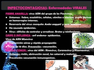 INFECTOCONTAGIOSAS: Enfermedades VIRALES
FIEBRE AMARILLA: virus ARN del grupo de los Flavivirus.
• Síntomas: fiebre, escalofríos, cefalea, vómitos e ictericia, puede derivar
   en hemorragias internas.
• Reservorio del virus: mosquito Aedes aegypti y seres humanos
• Ha causado epidemias.
• Virus : difíciles de controlar y erradicar. Brotes y reinfecciones.
GRIPE O INFLUENZA : enf endemo- epidemica.
Virus de ARN Mixovirus
• Transmisión aérea y rápida propagación
• Ciclo de 10 días. Prevención : vacunación.
RESFRIO COMUN : virus del ARN : Rinovirus, Coranovirus y Picornavirus.
• Síntomas: rinitis, obstrucción nasal, tos catarral y malestar.
• Prevención: vacunación inmunogenicas.
 