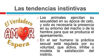 Las tendencias instintivas
 Los animales ejercitan su
sexualidad en su época de celo,
y solo es necesaria la presencia
en su entorno del macho o de la
hembra para que se produzca el
apareamiento.
 En el ser humano la práctica
sexual está regulada por su
voluntad, que activa, inhibe o
modela la satisfacción del
instinto.
 