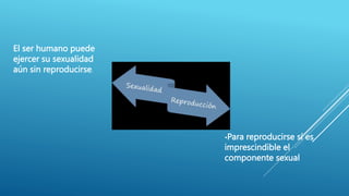 El ser humano puede
ejercer su sexualidad
aún sin reproducirse.
•Para reproducirse sí es
imprescindible el
componente sexual
 