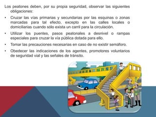 Los peatones deben, por su propia seguridad, observar las siguientes
obligaciones:
• Cruzar las vías primarias y secundarias por las esquinas o zonas
marcadas para tal efecto, excepto en las calles locales o
domiciliarias cuando sólo exista un carril para la circulación.
• Utilizar los puentes, pasos peatonales a desnivel o rampas
especiales para cruzar la vía pública dotada para ello.
• Tomar las precauciones necesarias en caso de no existir semáforo.
• Obedecer las indicaciones de los agentes, promotores voluntarios
de seguridad vial y las señales de tránsito.
 