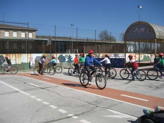 Educación vial 2017