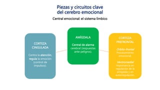 EDUCACIÓN Y APRENDIZAJE SOCIAL Y EMOCIONAL.pptx