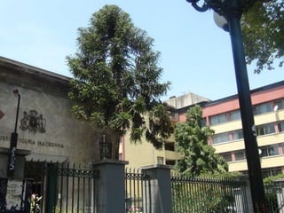 Educación y patrimonio